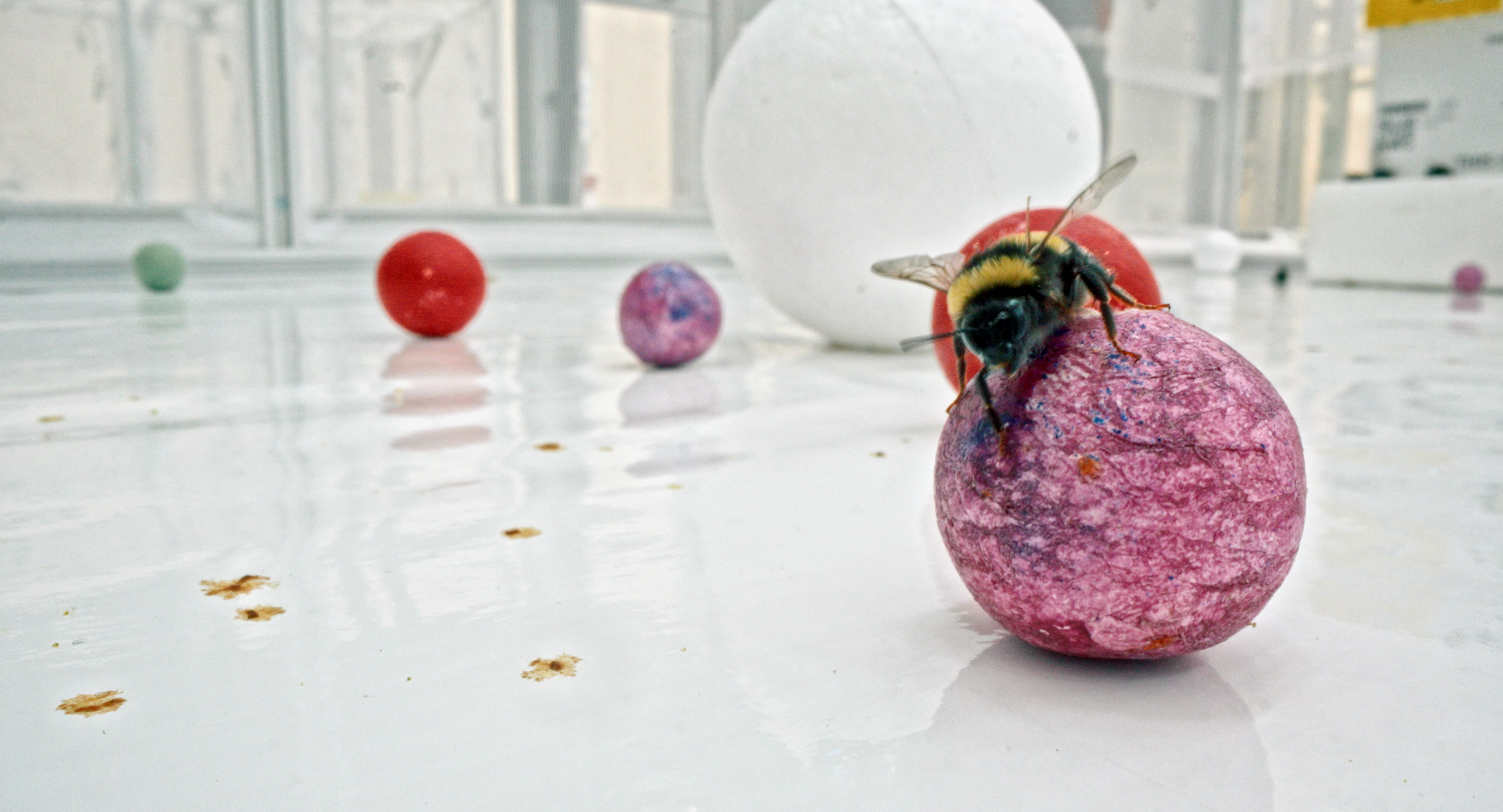 Bild kann nicht geladen werden.